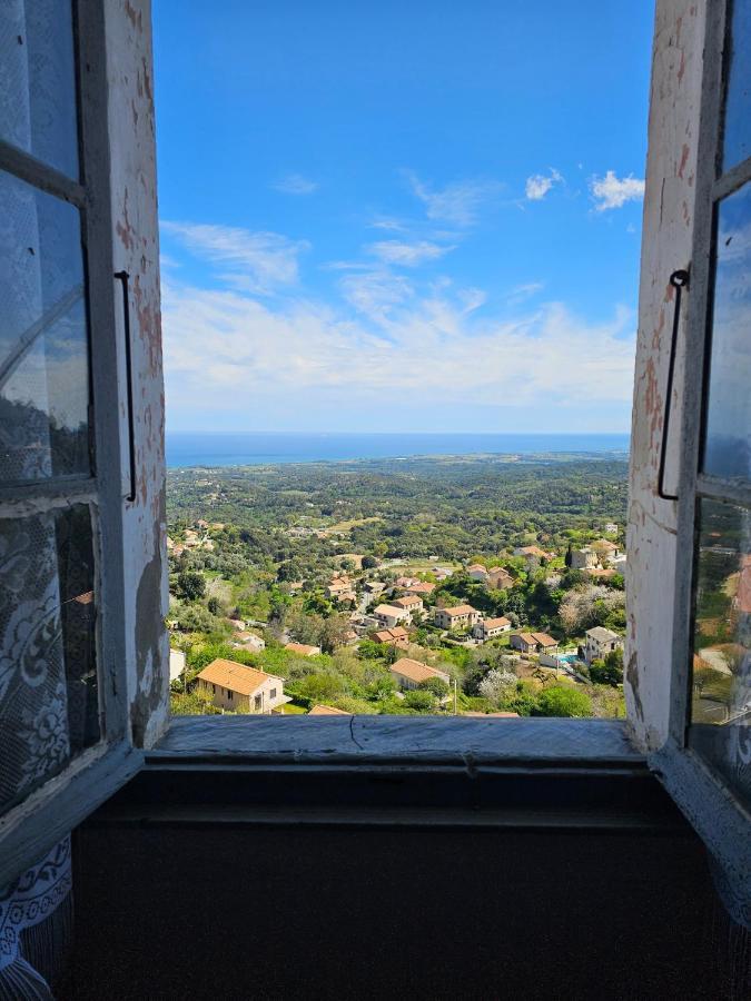 Palazzu Massoni, Magnifique Vue Sur La Mer Et La Montagne, Clim, Wifi, Parking Gratuit Cervione Exteriör bild