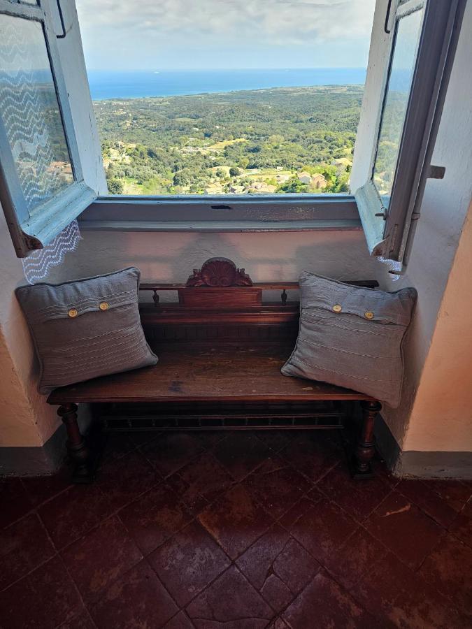 Palazzu Massoni, Magnifique Vue Sur La Mer Et La Montagne, Clim, Wifi, Parking Gratuit Cervione Exteriör bild