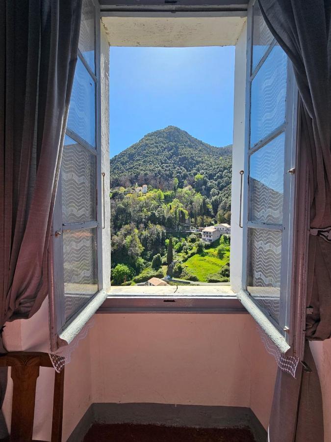 Palazzu Massoni, Magnifique Vue Sur La Mer Et La Montagne, Clim, Wifi, Parking Gratuit Cervione Exteriör bild