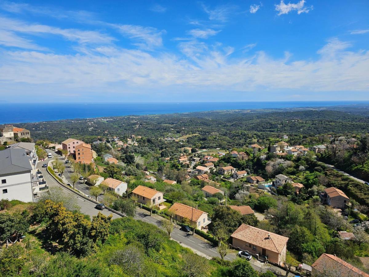 Palazzu Massoni, Magnifique Vue Sur La Mer Et La Montagne, Clim, Wifi, Parking Gratuit Cervione Exteriör bild