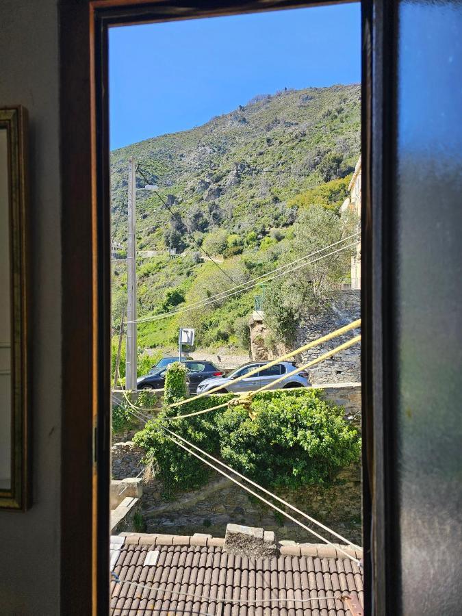 Palazzu Massoni, Magnifique Vue Sur La Mer Et La Montagne, Clim, Wifi, Parking Gratuit Cervione Exteriör bild