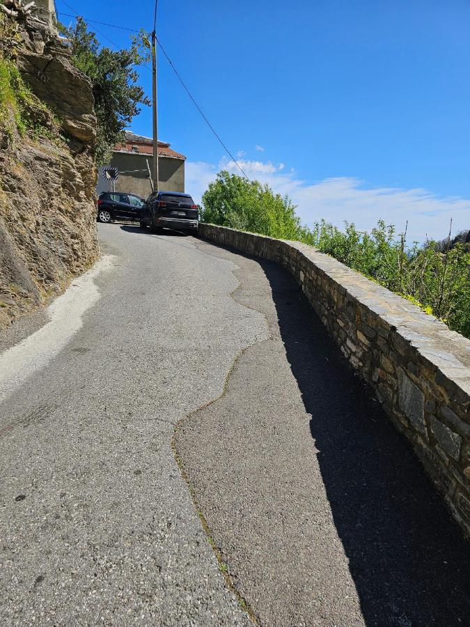 Palazzu Massoni, Magnifique Vue Sur La Mer Et La Montagne, Clim, Wifi, Parking Gratuit Cervione Exteriör bild